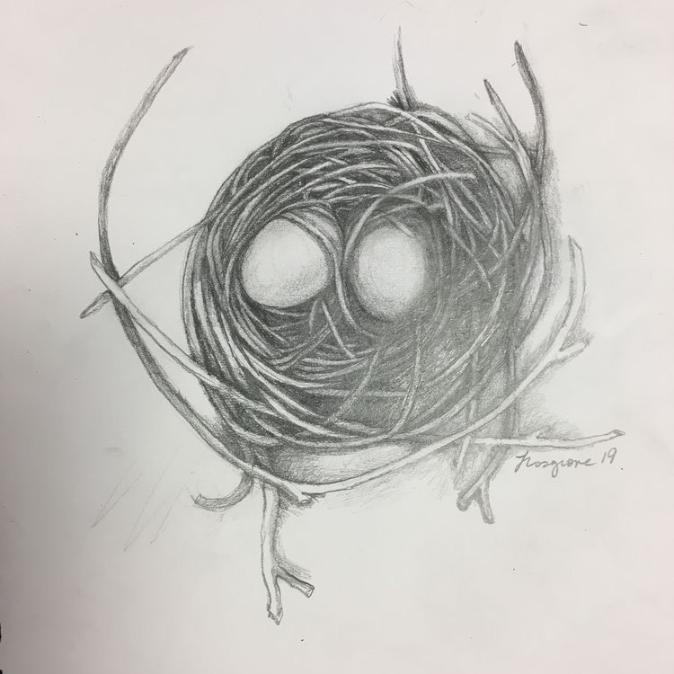 Nest drawing